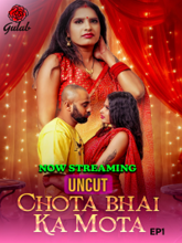 Chota Bhai Ka Mota S01 Episode 1 (Hindi) 