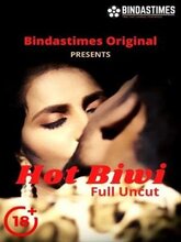 Hot Biwi (Hindi) 