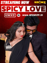 Spicy Love (Hindi)