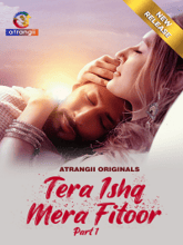 Tera Ishq Mera Fitoor (Hindi)