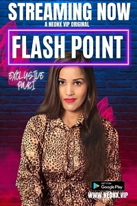 Flash Point (Hindi)